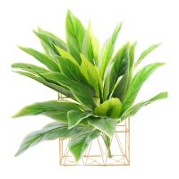 uploads/erp/collection/images/Home Garden/CongDing/XU0610536/img_b/XU0610536_img_b_5